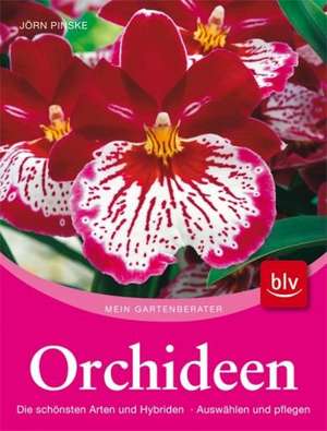 Orchideen de Jörn Pinske