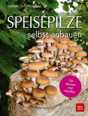 Speisepilze selbst anbauen de Stefanie Goldscheider