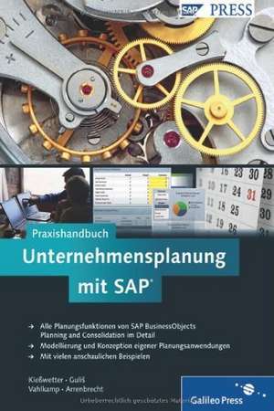 Praxishandbuch Unternehmensplanung mit SAP de Martin Kießwetter