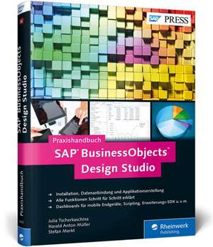 SAP BusinessObjects Design Studio de Stefan Merkt