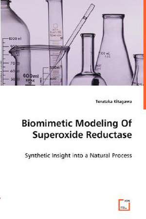 Biomimetic Modeling of Superoxide Reductase de Terutaka Kitagawa