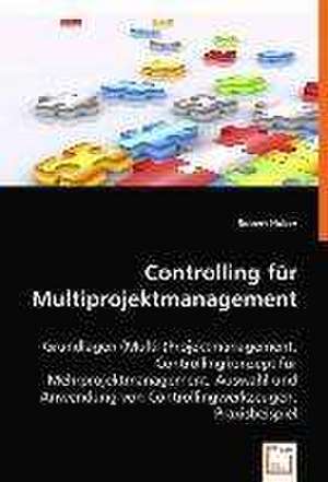 Controlling für Multiprojektmanagement de Robert Huber