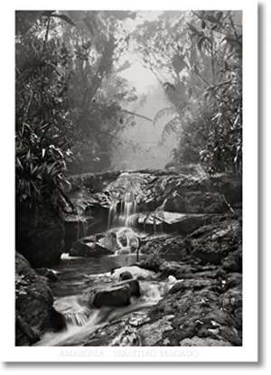 Sebastiao Salgado. Amazonia. Poster 'Creek' de Taschen