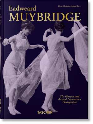 Muybridge