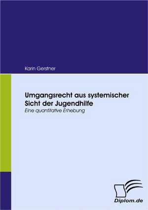 Umgangsrecht Aus Systemischer Sicht Der Jugendhilfe: Das Fallbeispiel Ryanair in Bremen de Karin Gerstner