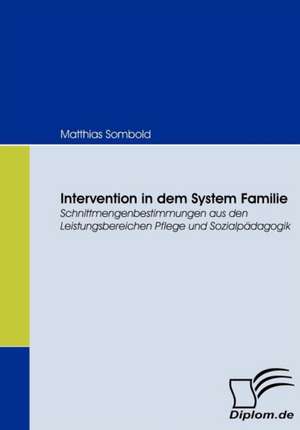 Intervention in Dem System Familie: Eine Herausforderung Fur Die Wirtschaft de Matthias Sombold