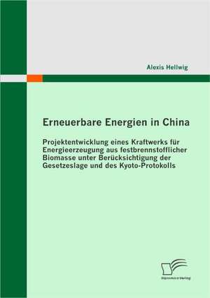 Erneuerbare Energien in China: Projektentwicklung Eines Kraftwerks Fur Energieerzeugung Aus Festbrennstofflicher Biomasse Unter Ber Cksichtigung Der de Alexis Hellwig