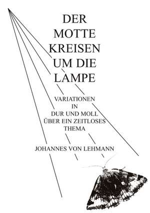 Der Motte Kreisen Um Die Lampe: Innovation Im Rahmen Des Europ Ischen Sozialfonds de Johannes von Lehmann