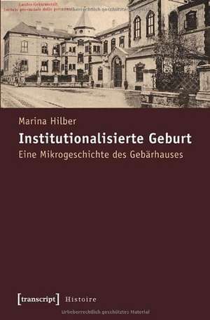 Institutionalisierte Geburt de Marina Hilber