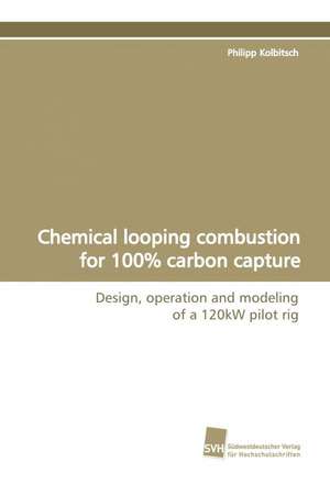 Chemical Looping Combustion for 100% Carbon Capture: A Novel Histone Lysine Mono-Methyltransferase de Philipp Kolbitsch