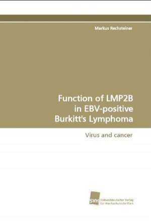 Function of Lmp2b in Ebv-Positive Burkitt's Lymphoma: A Novel Histone Lysine Mono-Methyltransferase de Markus Rechsteiner