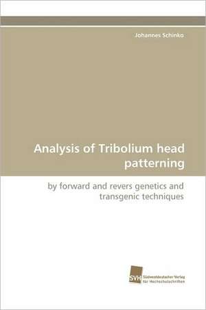 Analysis of Tribolium Head Patterning: Communities in Private-Collective Innovation de Johannes Schinko