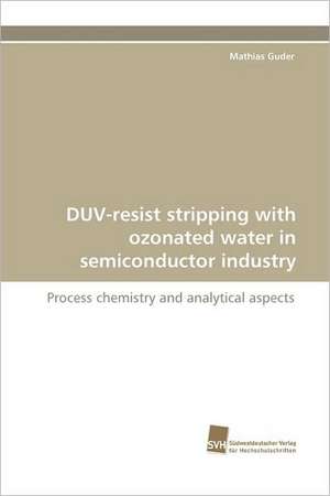 Duv-Resist Stripping with Ozonated Water in Semiconductor Industry: Communities in Private-Collective Innovation de Mathias Guder