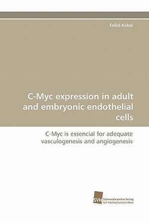 C-Myc Expression in Adult and Embryonic Endothelial Cells: Finding Out about Getting in de Enikö Kokai