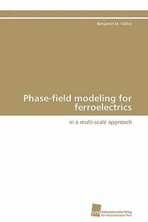 Phase-Field Modeling for Ferroelectrics: Ein Zytokin Der Il-10-Interferon-Familie de Benjamin M. Völker