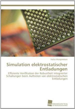 Simulation Elektrostatischer Entladungen: Ein Zytokin Der Il-10-Interferon-Familie de Haiko Morgenstern