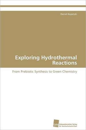 Exploring Hydrothermal Reactions de Daniel Kopetzki