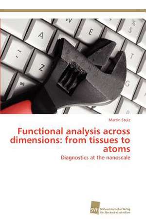 Functional Analysis Across Dimensions: From Tissues to Atoms de Martin Stolz