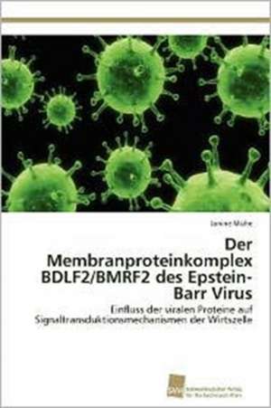 Der Membranproteinkomplex Bdlf2/Bmrf2 Des Epstein-Barr Virus: Kontrolle Durch Kir-Genotyp Und HLA-Polymorphismus de Janine Mühe