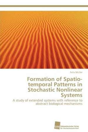 Formation of Spatio-Temporal Patterns in Stochastic Nonlinear Systems: Measurement and Source Allocation de Felix Müller