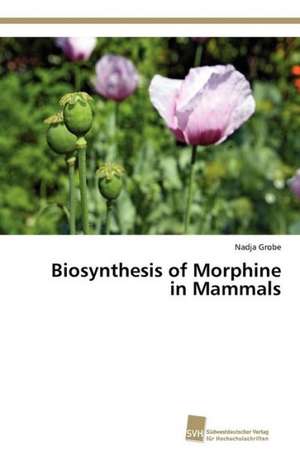 Biosynthesis of Morphine in Mammals de Nadja Grobe