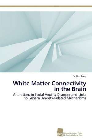 White Matter Connectivity in the Brain de Volker Baur