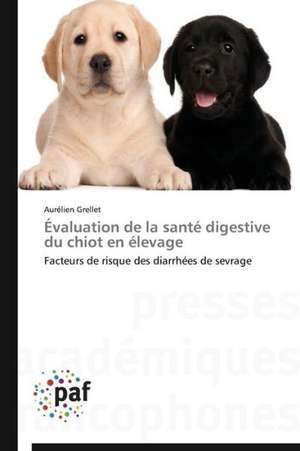 Évaluation de la santé digestive du chiot en élevage de Aurélien Grellet