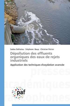 Dépollution des effluents organiques des eaux de rejets industriels de Sadou Dalhatou