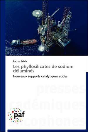 Les phyllosilicates de sodium délaminés de Bachar Zebib