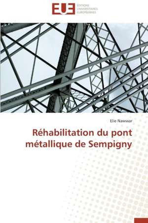 Rehabilitation Du Pont Metallique de Sempigny