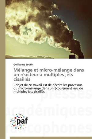 Mélange et micro-mélange dans un réacteur à multiples jets cisaillés de Guillaume Boutin