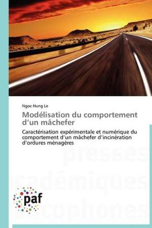 Modélisation du comportement d¿un mâchefer de Ngoc Hung Le