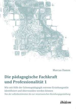 Damm, M: Die pädagogische Fachkraft und Professionalität