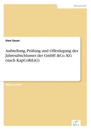 Aufstellung, Prüfung und Offenlegung des Jahresabschlusses der GmbH &Co. KG (nach KapCoRiLiG) de Uwe Sauer