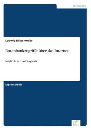 Datenbankzugriffe über das Internet de Ludwig Mittermeier