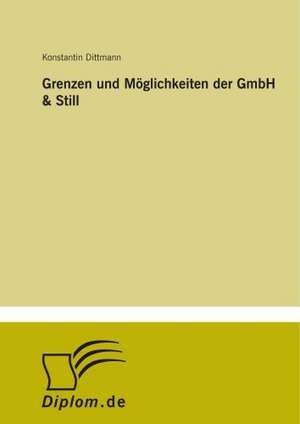 Grenzen und Möglichkeiten der GmbH & Still de Konstantin Dittmann