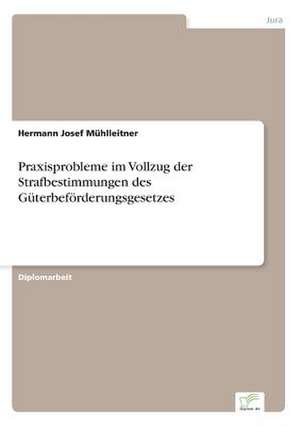 Praxisprobleme Im Vollzug Der Strafbestimmungen Des Guterbeforderungsgesetzes: Messung Des E-Business-Erfolges de Hermann Josef Mühlleitner