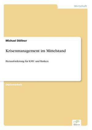 Krisenmanagement Im Mittelstand: Messung Des E-Business-Erfolges de Michael Döllner