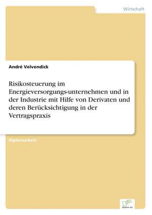 Risikosteuerung Im Energieversorgungs-Unternehmen Und in Der Industrie Mit Hilfe Von Derivaten Und Deren Berucksichtigung in Der Vertragspraxis: 2000 Ff. de André Velvendick