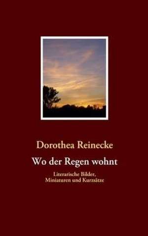 Wo der Regen wohnt de Dorothea Reinecke