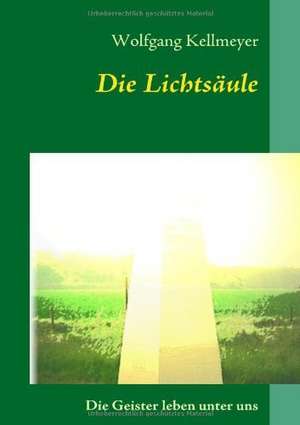 Die Lichtsaule: Die Bedeutung Jugendlicher ALS Zielmarkt Fur Die Wirtschaft Und Handlungsoptionen Fur Eine Werbliche Ansprache de Wolfgang Kellmeyer