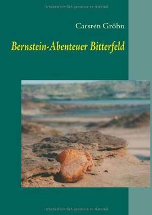 Bernstein-Abenteuer Bitterfeld de Carsten Gröhn