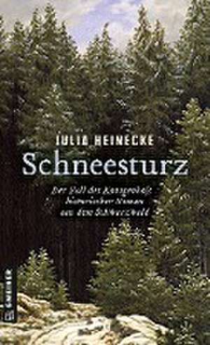 Schneesturz - Der Fall des Königenhofs de Julia Heinecke