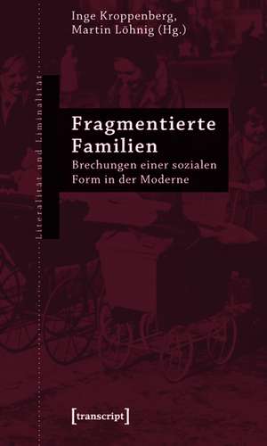 Fragmentierte Familien: Brechungen einer sozialen Form in der Moderne de Inge Kroppenberg