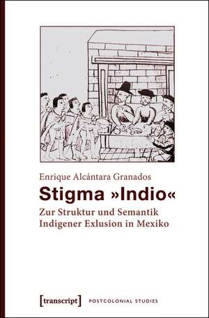 Stigma »Indio«: Zur Struktur und Semantik Indigener Exklusion in Mexiko de Enrique Alcántara Granados