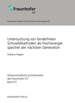 Untersuchung von binderfreien Schwefelkathoden als Hochenergiespeicher der nächsten Generation de Markus Hagen