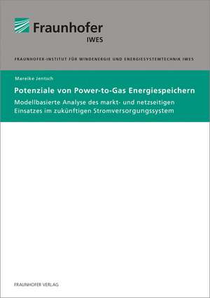 Potenziale von Power-to-Gas Energiespeichern de Mareike Jentsch