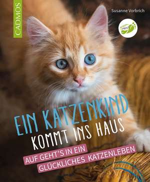 Ein Katzenkind kommt ins Haus de Susanne Vorbrich