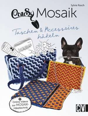 CraSy Mosaik - Taschen & Accessoires häkeln de Sylvie Rasch