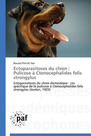 Ectoparasitoses du chien : Pulicose à Ctenocephalides felis strongylus de Kouassi Patrick Yao